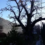 Melro-d' Agua Manteigas