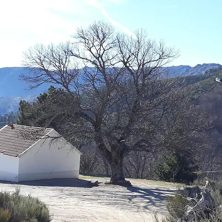 Melro-d' Agua Manteigas