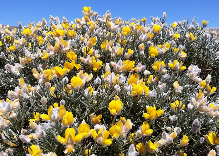 Melro-d' Agua Дом отдыха Мантейгас