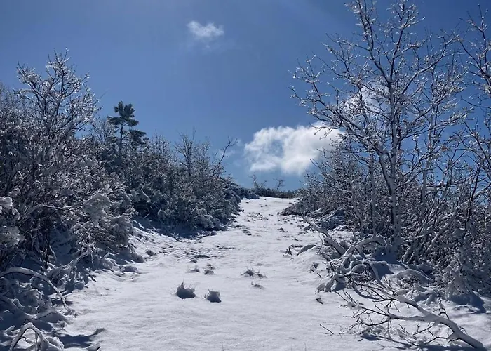 Melro-d' Agua Дом отдыха Мантейгас