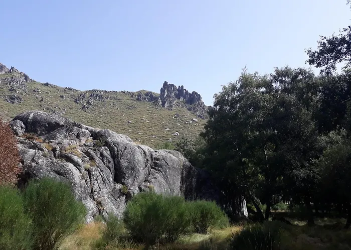 Дом отдыха Melro-d' Agua