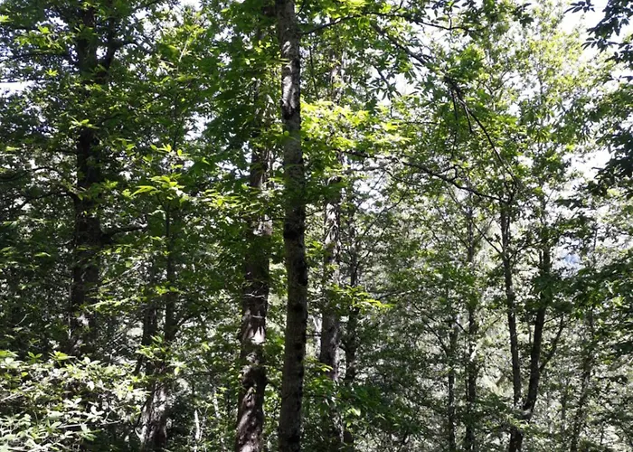 Melro-d' Agua Дом отдыха